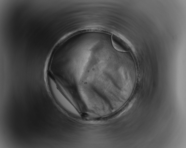 X0000087551037200705181103