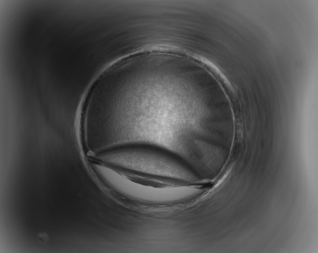 X0000087551038200705181103