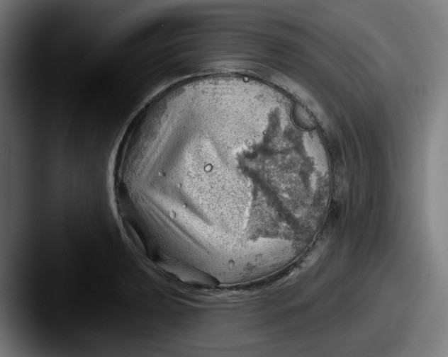 X0000087551039200705181103