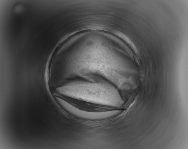 X0000087551040200705181103