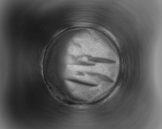 X0000087551041200705181103