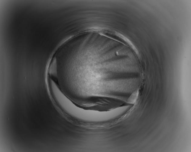 X0000087551042200705181103