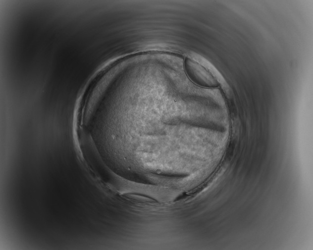 X0000087551043200705181103