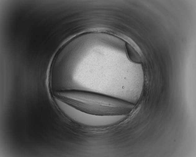 X0000087551044200705181103