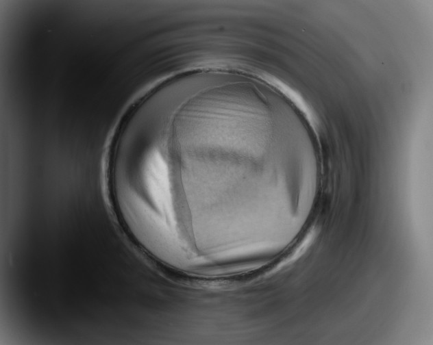 X0000087551045200705181103