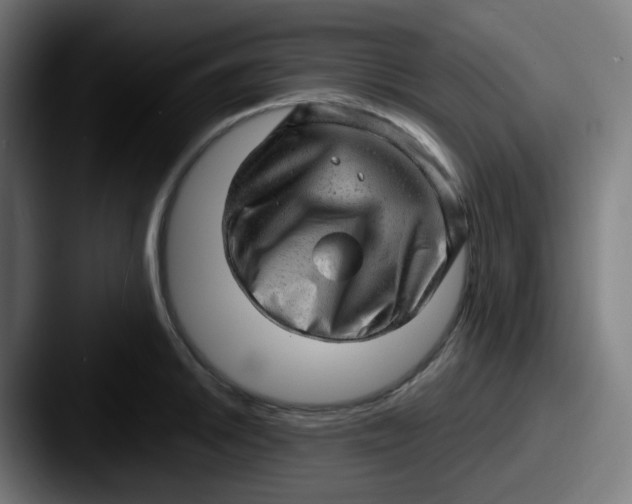 X0000087551046200705181103