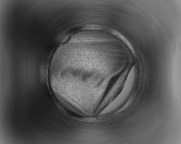 X0000087551049200705181103