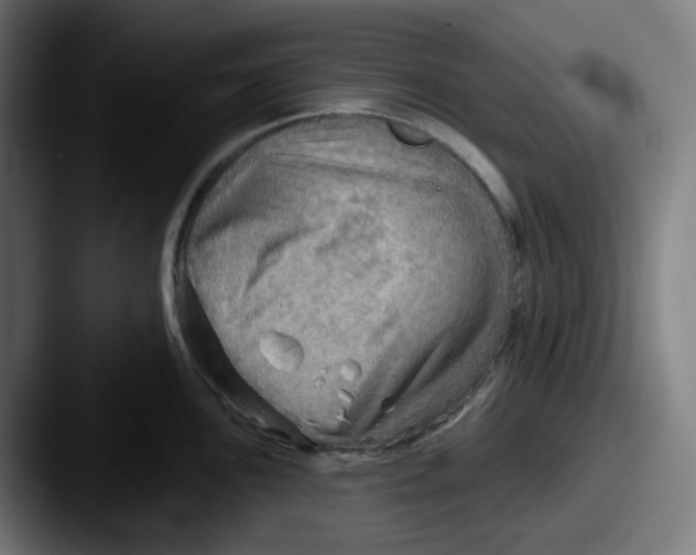 X0000087551051200705181103