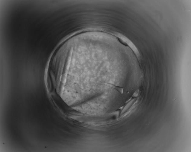 X0000087551052200705181103