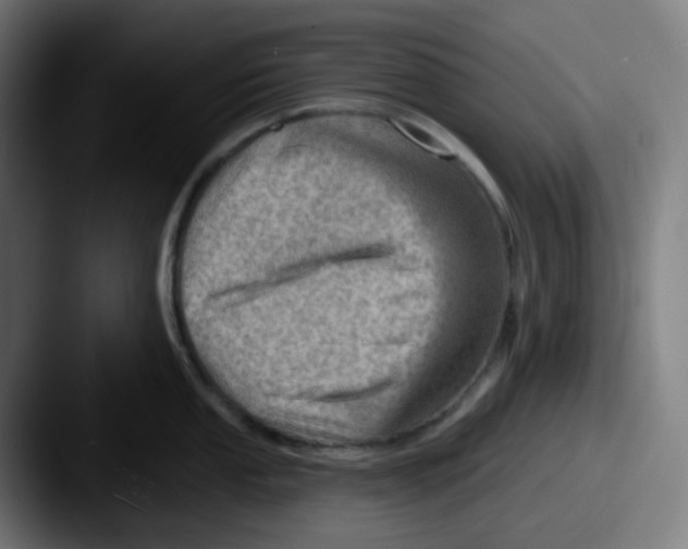 X0000087551053200705181103