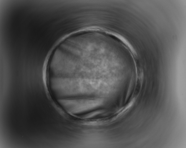 X0000087551054200705181103