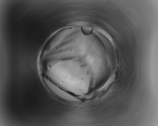 X0000087551055200705181103