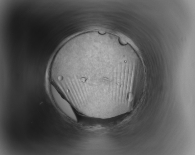 X0000087551056200705181103