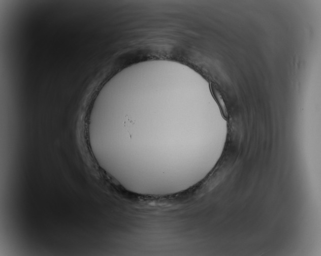 X0000087551057200705181102