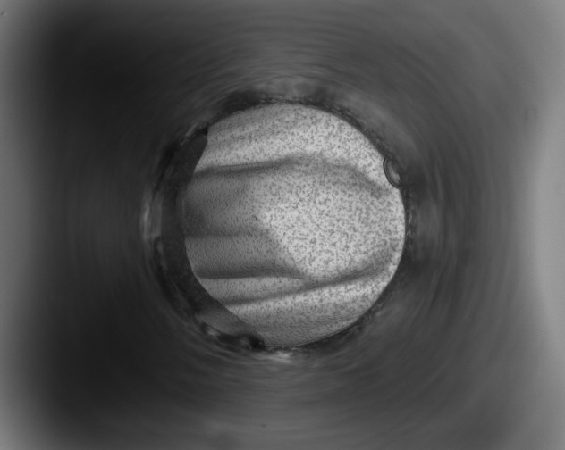 X0000087551058200705181102