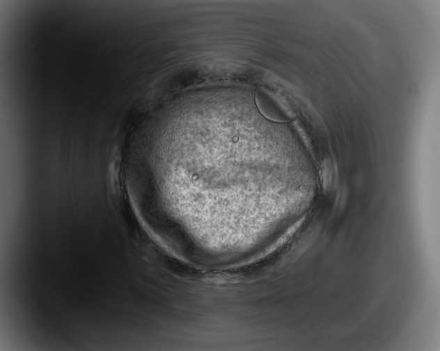 X0000087551059200705181102