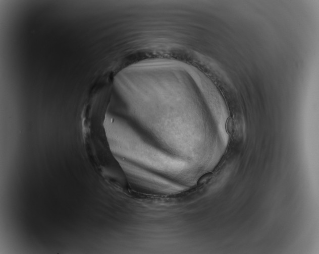 X0000087551060200705181102