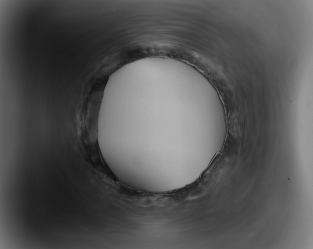 X0000087551061200705181102