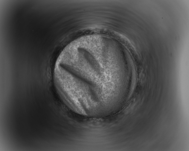 X0000087551062200705181102