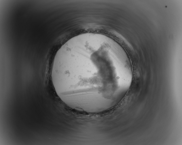 X0000087551063200705181102