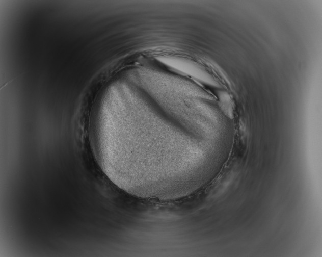 X0000087551064200705181102