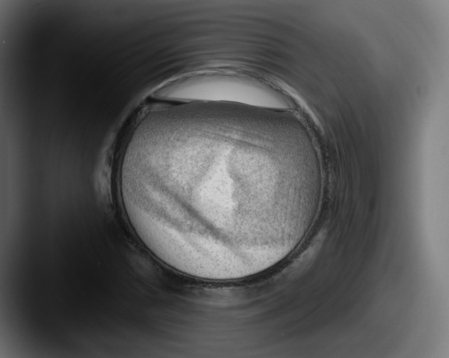 X0000087551066200705181102