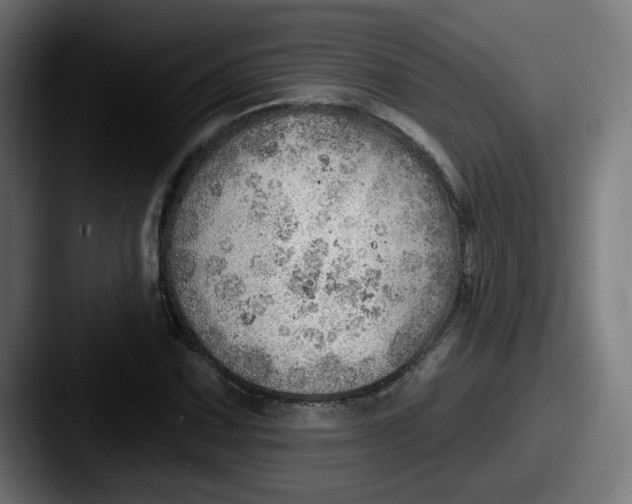 X0000087551067200705181102