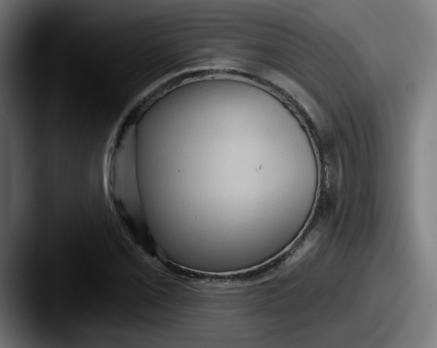 X0000087551069200705181102