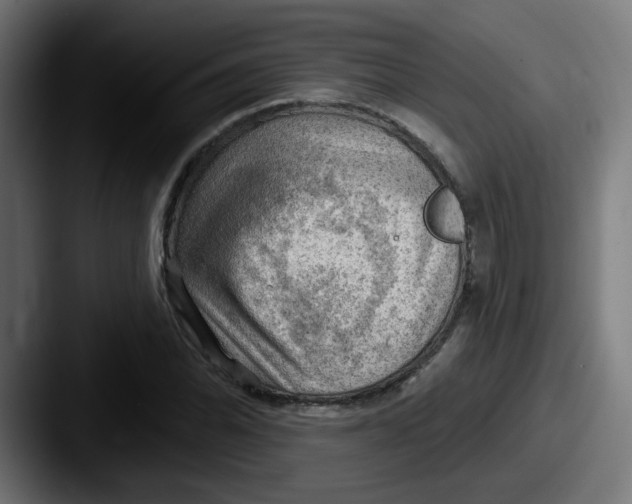 X0000087551070200705181102