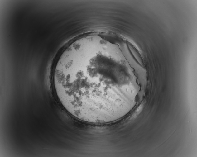 X0000087551071200705181102