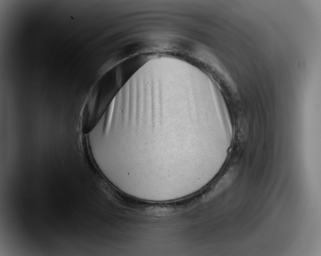 X0000087551073200705181102