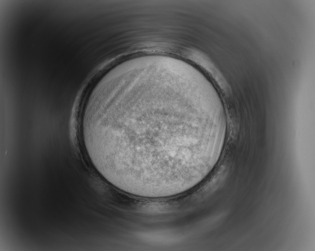 X0000087551074200705181102