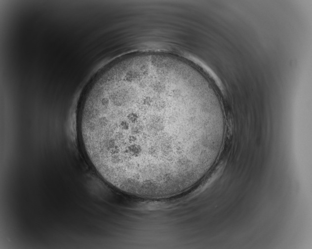 X0000087551075200705181102