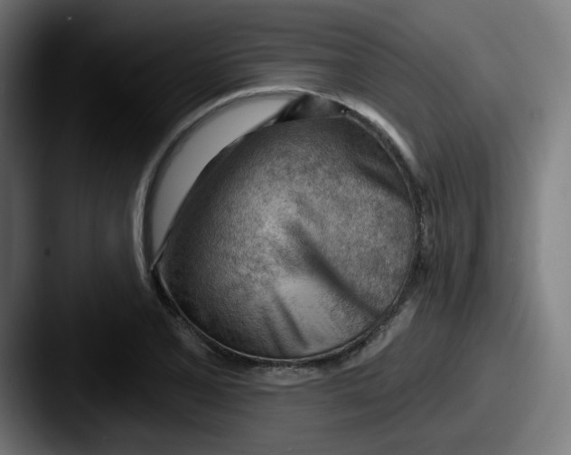 X0000087551077200705181102