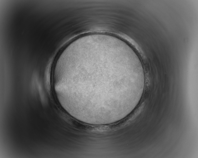 X0000087551078200705181102