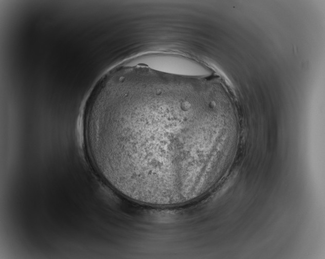 X0000087551079200705181102