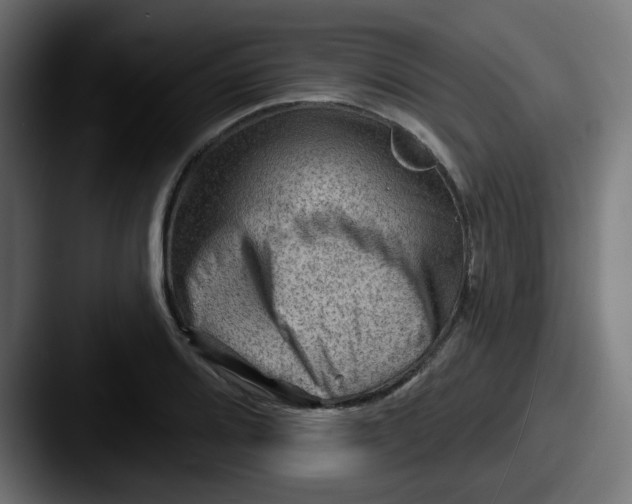 X0000087551080200705181102