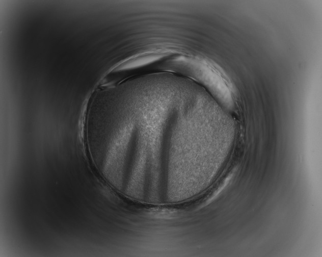 X0000087551081200705181102