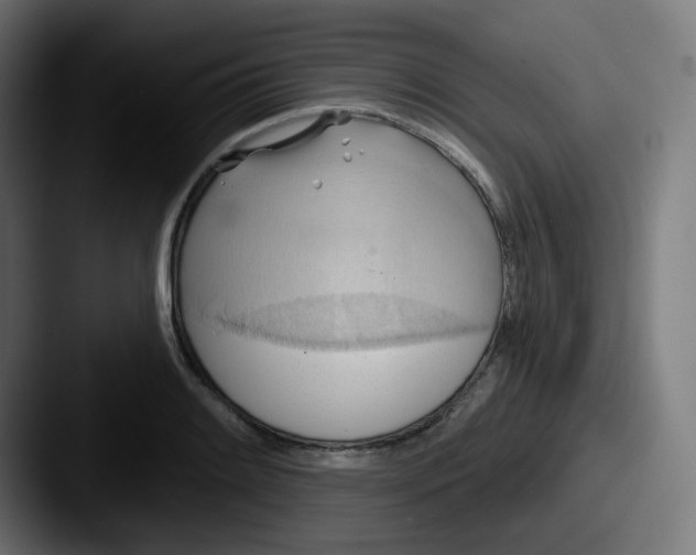 X0000087551084200705181102