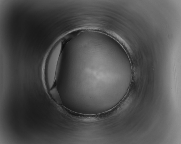 X0000087551085200705181102