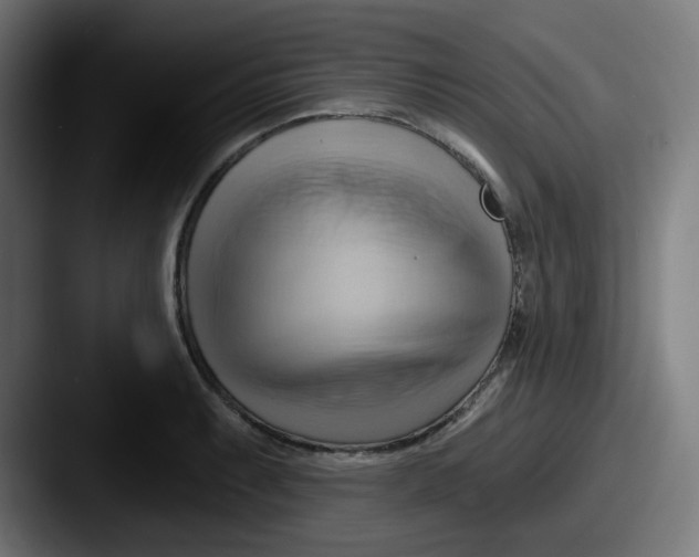 X0000087551087200705181102