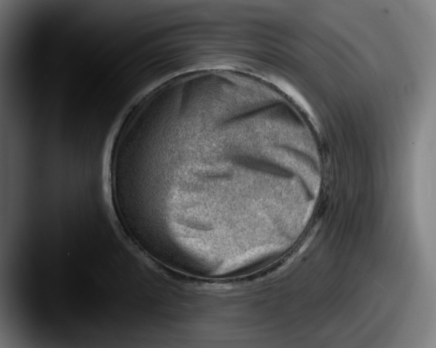 X0000087551088200705181102