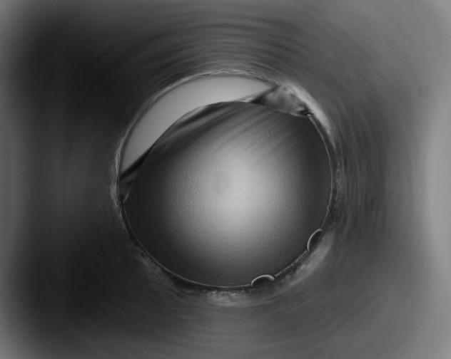 X0000087551089200705181102