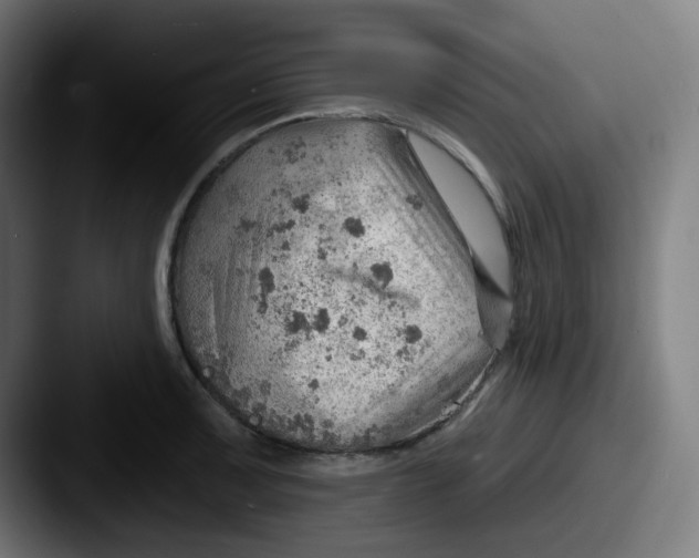 X0000087551091200705181102