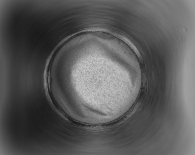 X0000087551092200705181102