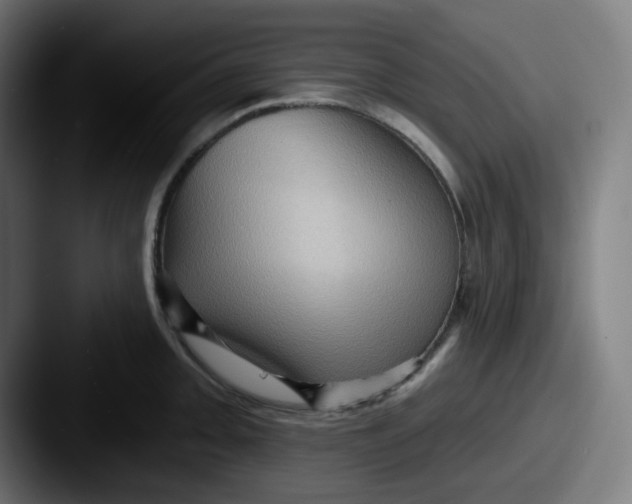 X0000087551093200705181102