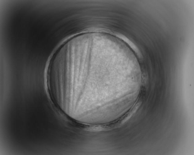 X0000087551094200705181102