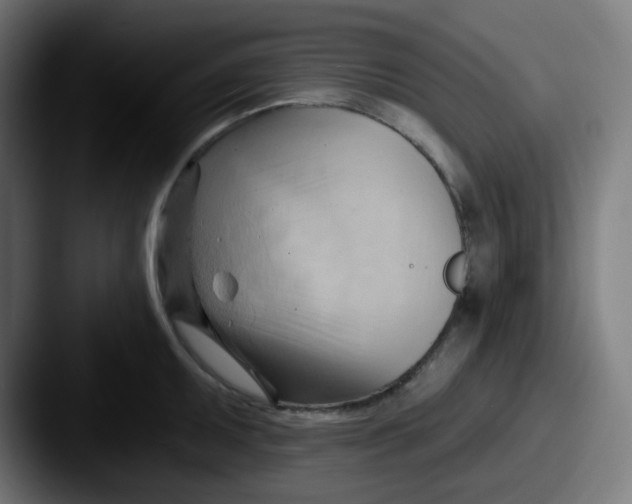 X0000087551095200705181102