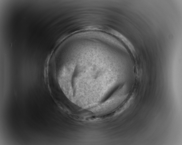 X0000087551097200705181102