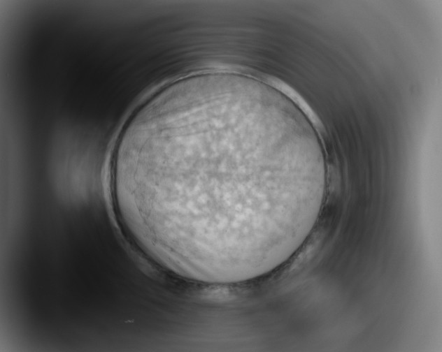 X0000087551098200705181102